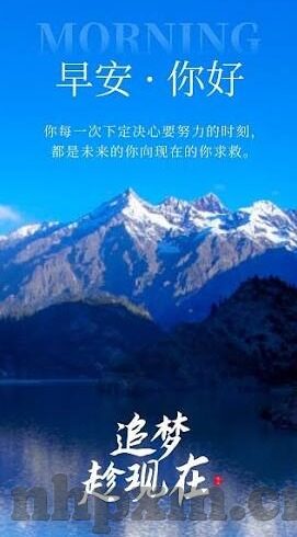 大象视频dx2022回家领航-2022年回家领航，大象视频DX的温暖旅程