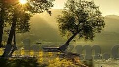 麻豆传媒李慕儿-揭秘麻豆传媒与李慕儿的艺术旅程——从幕后到台前的蜕变