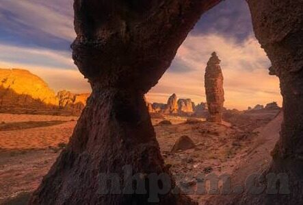 日韩av网站在线-探索日韩AV网站在线的多元视角与文化差异