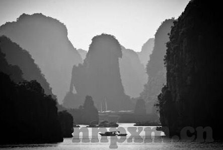 糖心直播免费版app下载-声乐世界里的一抹温馨，解锁糖心直播免费版的温柔体验