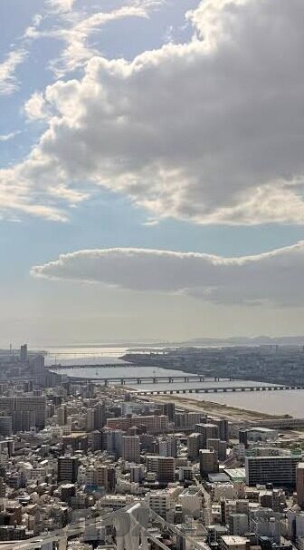在线成人一区二区-在线成人一区二区，网络世界的成人乐园与界限探讨