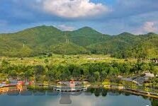 正在播放麻豆传媒-光影流转，麻豆传媒的数字轨迹与艺术展现