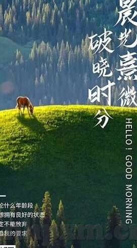 最新成人手机在线视频播放-成人手机在线视频播放，现代生活的一道双刃剑